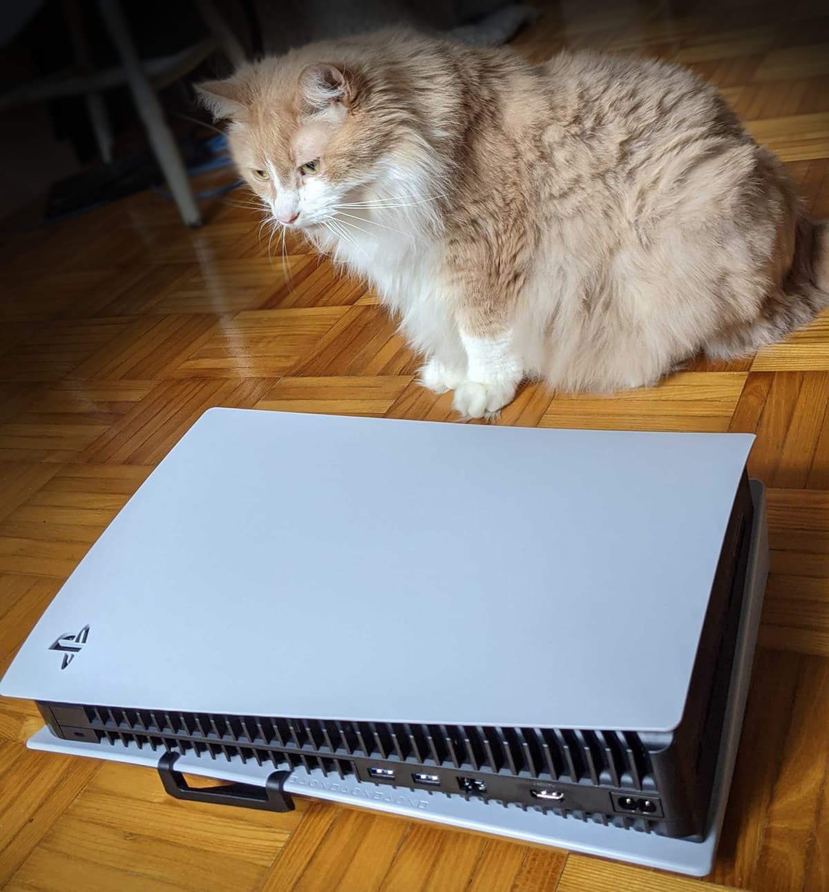 Tofu le (très gros) chat, à côté de la console couchée.
